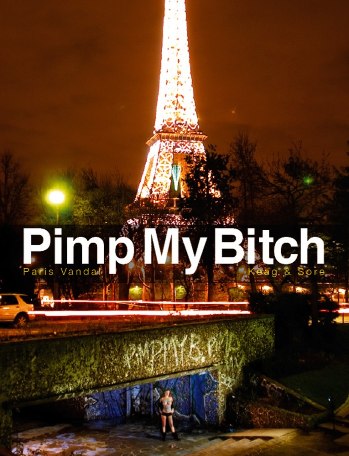 Cover of Pimp My Bitch